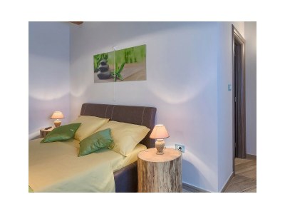 Villa Villa Patrick - Beautifull Istrian Villa Patrick with a pool - Features photo 23