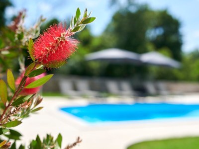 Villa Villa Gemini - Charming Villa Gemini in central Istria - Environment photo 26