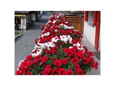 Apartment 4-Bettwohnung Nr. 2 - Outdoor photo 6