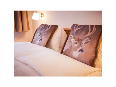 Apartment Appartement/Fewo, Dusche, WC, Terrasse - Features photo 31