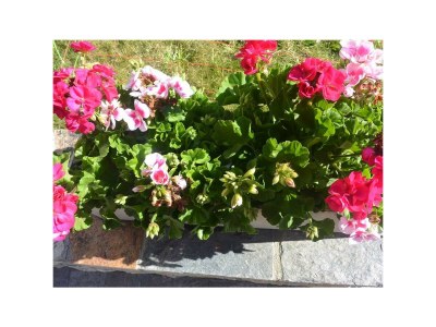 Apartment 6-Bettwohnung Nr. 21 - Outdoor photo 15