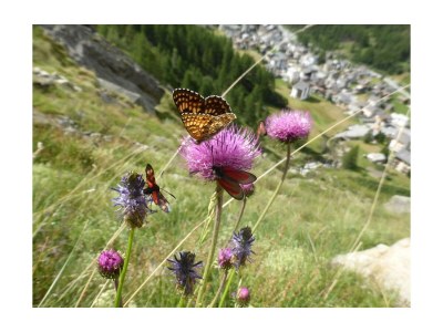 Apartment 4-Bettwohnung Nr. 4 - Outdoor photo 17