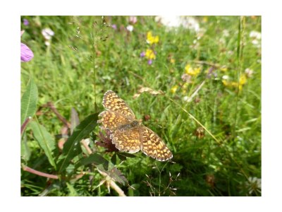 Apartment 4-Bettwohnung Nr. 4 - Outdoor photo 19