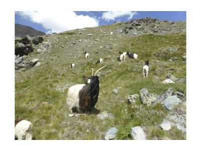 Apartment 4-Bettwohnung Nr. 4 - Outdoor photo 21