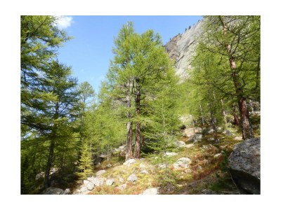 Apartment 4-Bettwohnung Nr. 4 - Outdoor photo 22