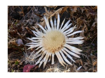 Apartment 4-Bettwohnung Nr. 4 - Outdoor photo 24