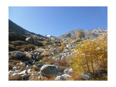 Apartment 4-Bettwohnung Nr. 4 - Outdoor photo 25