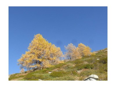 Apartment 4-Bettwohnung Nr. 4 - Outdoor photo 26