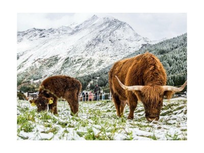 Apartment 5-Bettwohnung Nr. 2 - Outdoor photo 18