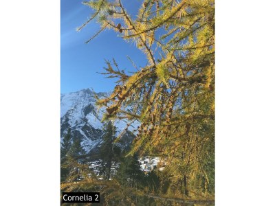 Apartment 5-Bettwohnung Nr. 2 - Features photo 38