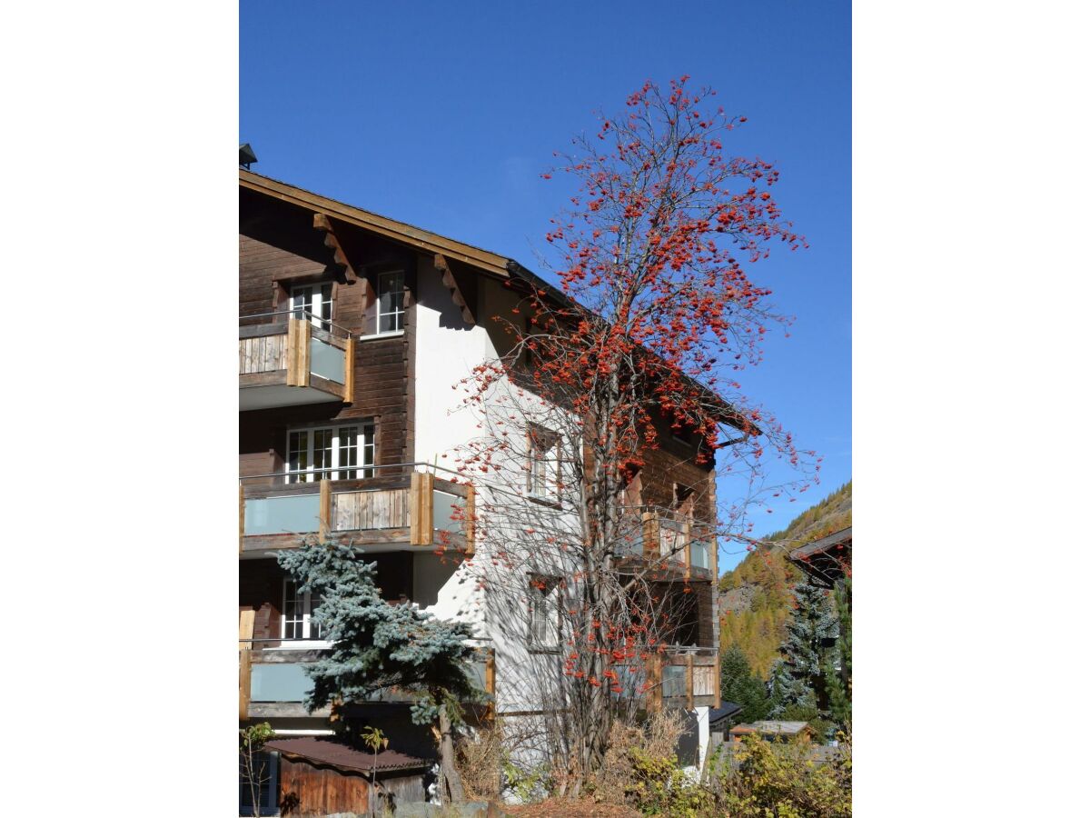 Apartment 2-Bettwohnung