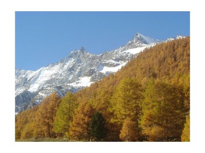 Apartment 6-Bettwohnung Nr. 13 - Outdoor photo 9