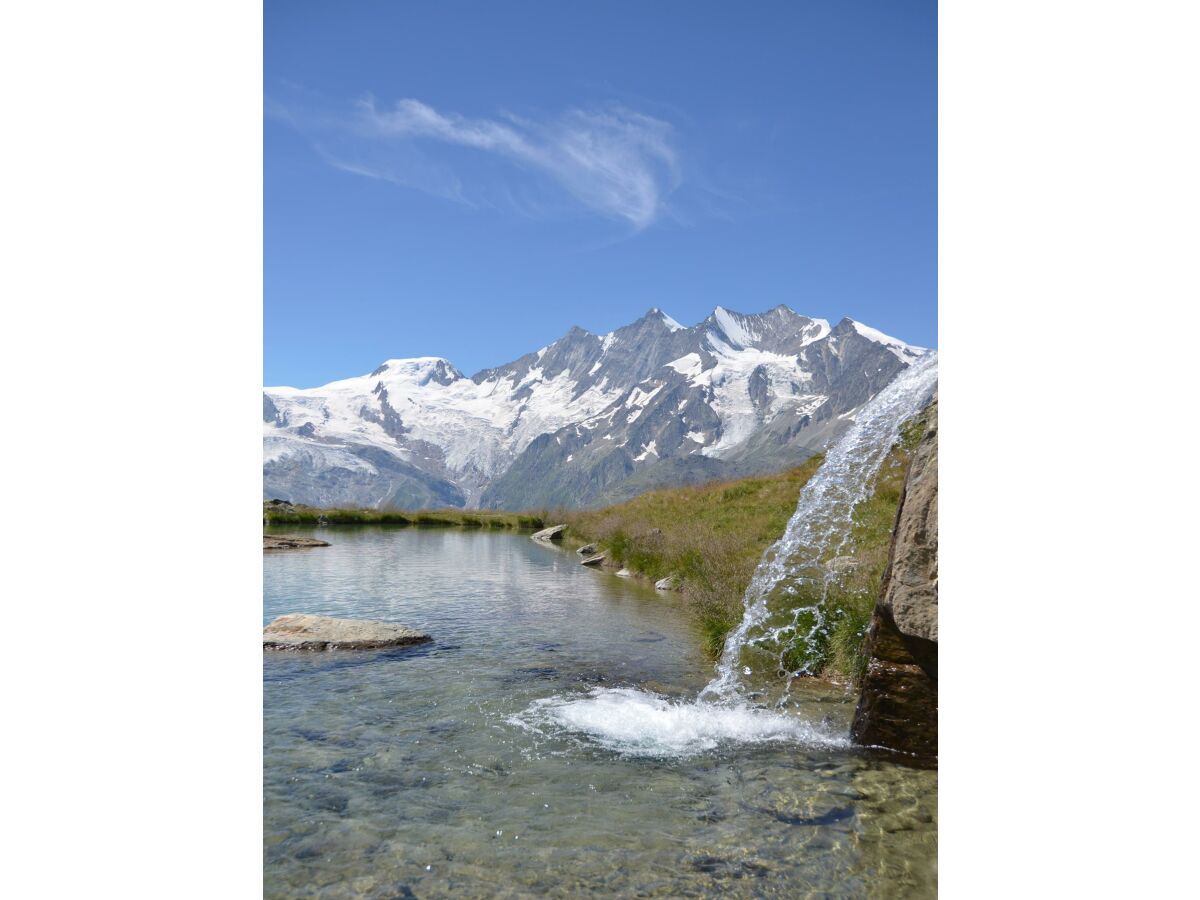 Apartment 4-Bettwohnung