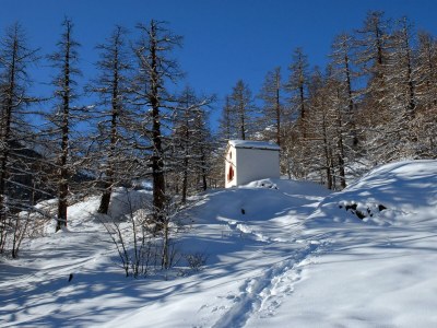 Apartment 4-Bettwohnung Nr. 4 - Outdoor photo 10