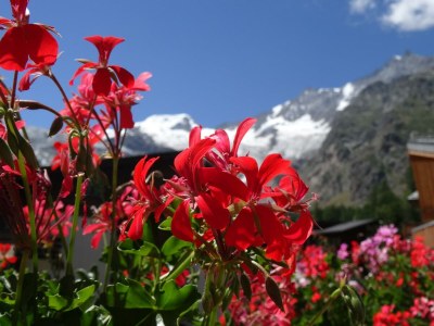 Apartment 4-Bettwohnung Nr. 4 - Features photo 20