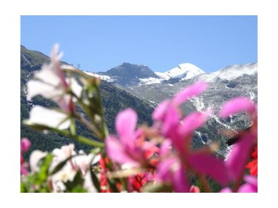 Apartment 4-Bettwohnung Nr. 5 - Outdoor photo 8