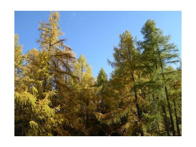 Apartment 4-Bettwohnung Nr. 1 - Outdoor photo 18