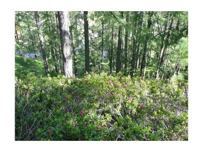 Apartment 5-Bettwohnung Nr. 2 - Outdoor photo 17