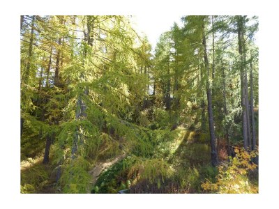 Apartment 5-Bettwohnung Nr. 2 - Outdoor photo 20