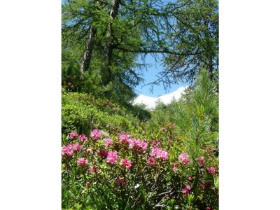 Apartment 5-Bettwohnung Nr. 2 - Outdoor photo 21