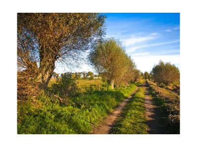 Holiday apartment Untere Ferienwohnung - Familie Jaensch - Environment photo 14