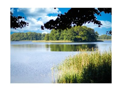 Holiday apartment Untere Ferienwohnung - Familie Jaensch - Environment photo 15