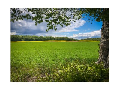 Holiday apartment Untere Ferienwohnung - Familie Jaensch - Environment photo 16