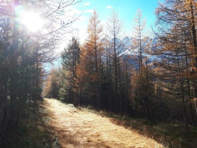 Apartment 4-Bettwohnung Nr. 53 - Outdoor photo 4