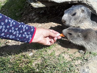 Apartment 4-Bettwohnung Nr. 53 - Outdoor photo 7