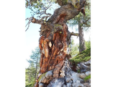 Apartment 4-Bettwohnung Nr. 53 - Outdoor photo 9