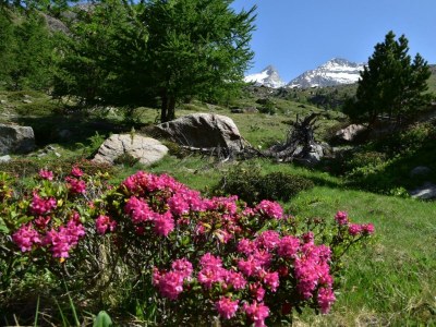 Apartment 4-Bettwohnung Nr. 53 - Outdoor photo 12