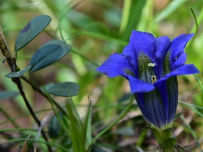 Apartment 4-Bettwohnung Nr. 53 - Outdoor photo 13