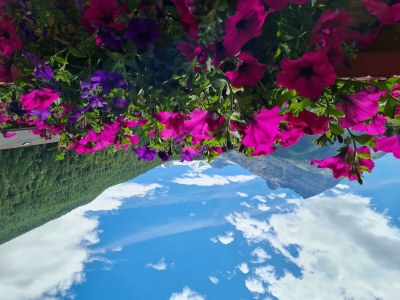 Apartment 4-Bettwohnung Nr. 53 - Outdoor photo 22