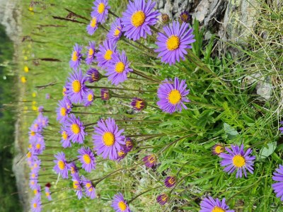 Apartment 4-Bettwohnung Nr. 53 - Outdoor photo 26