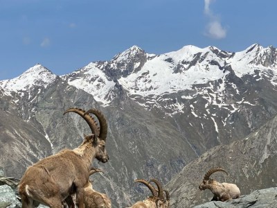 Apartment 6-Bettwohnung Allalin - Outdoor photo 10