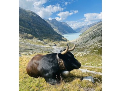 Apartment 6-Bettwohnung Allalin - Outdoor photo 14