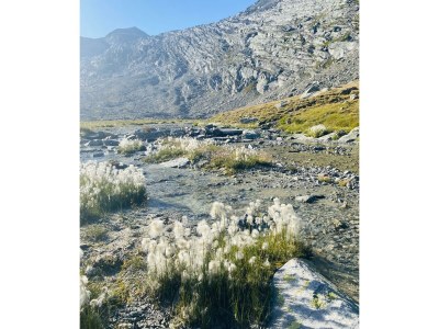 Apartment Studio Fletschhorn - Outdoor photo 15