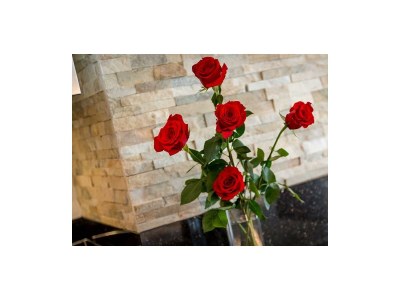 Apartment Appartement/Fewo - Outdoor photo 9