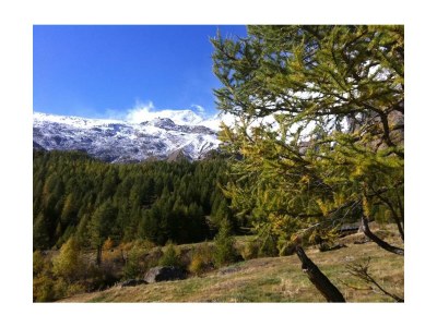 Apartment 2-Bettwohnung Nr. 3 - Outdoor photo 11