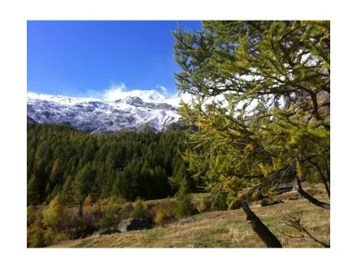 Apartment 4-Bettwohnung Nr. 5 - Outdoor photo 11