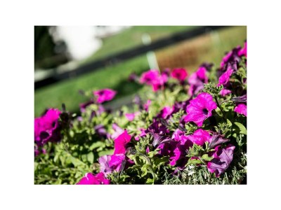 Apartment 4-Bettwohnung - Outdoor photo 12