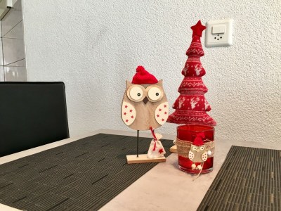 Apartment Wohnung 1 - Features photo 18