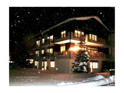 Apartment Wohnung 2 in Saas Grund - Apartment