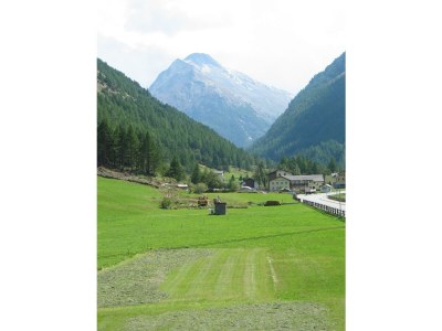 Apartment Atlas 5 in Saas-Grund - Apartment