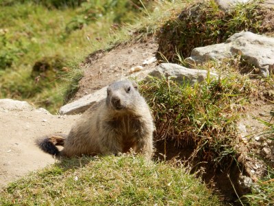 Apartment 4-Bettwohnung Kontiki C - Features photo 22