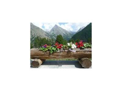 Apartment 12-Bettwohnung - Outdoor photo 7