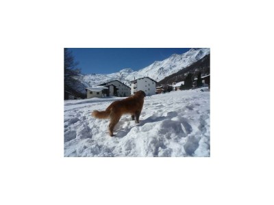 Apartment 12-Bettwohnung - Outdoor photo 10