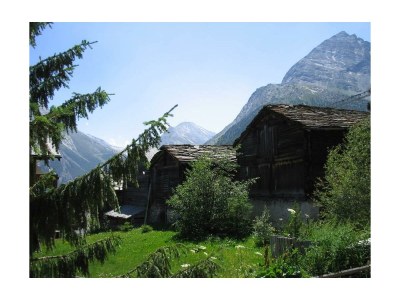 Apartment 9-Bettwohnung - Outdoor photo 6