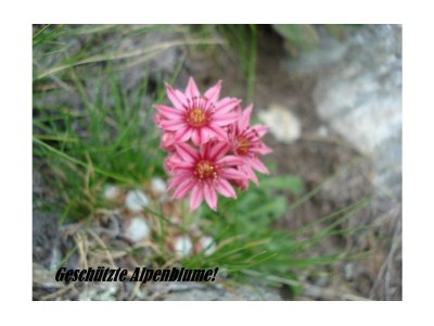 Apartment 10-Bettwohnung - Outdoor photo 11