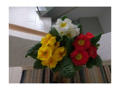 Apartment 6-Bettwohnung - Outdoor photo 3